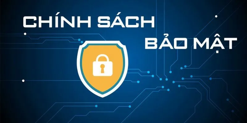 Privacy Policy là gì?